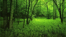 Timeline: La vida de Josep