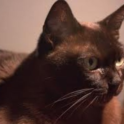 Timeline: jesse hawkins