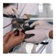 Cat animal testing stop now