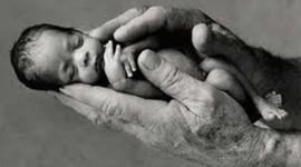 Timeline: Agradecimiento del ser humano