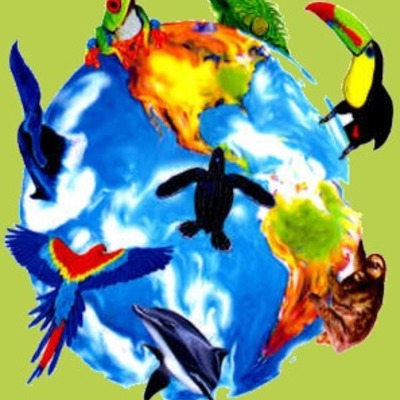 Timeline: SBMS Science Grade 8