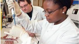 Timeline: Famous Scientists and Experiments