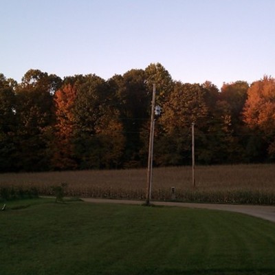 Timeline: Let's Go Hunting