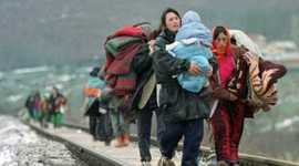 Timeline: Refugee Timeline