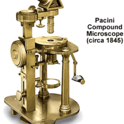 Timeline: The History of the Microscope and Cells