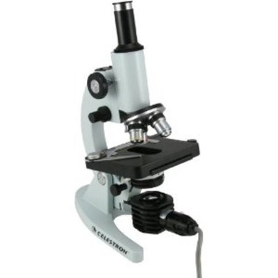 Timeline: The History Of The Microscope