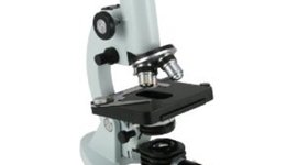 Timeline: The History Of The Microscope