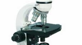 Timeline: The History of Microscopes