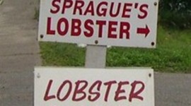 Timeline: Which Way Do We Go