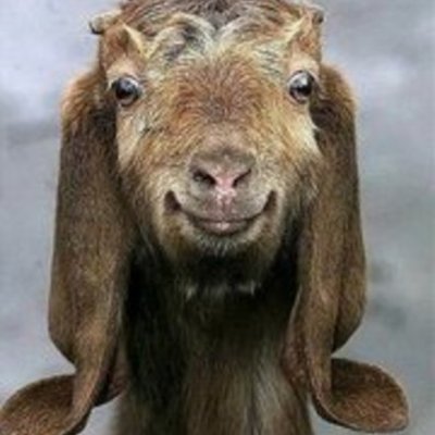 Timeline: Blue Group Ds Civil Rights time line