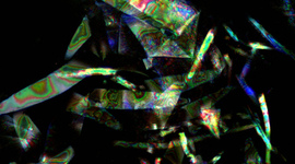 Timeline: Brighter BioBricks