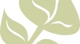 Timeline: Chatham Green Historical Timeline