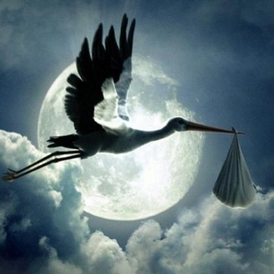 Timeline: En route vers le chemin des +++