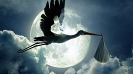 Timeline: En route vers le chemin des +++