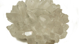 Timeline: McCoy Design History