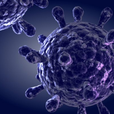 Timeline: Principales Descubrimientos De La Celula