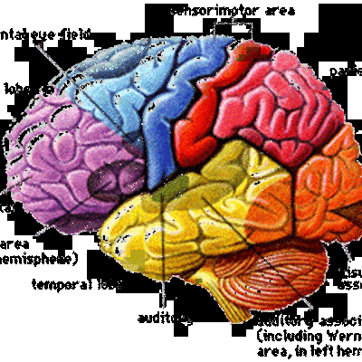 Timeline: TimeToast Timeline