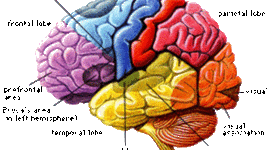 Timeline: TimeToast Timeline