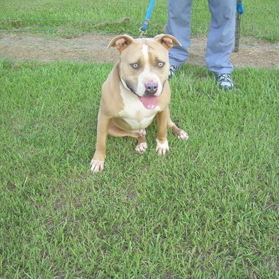 Timeline: King's Timeline