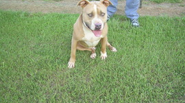 Timeline: King's Timeline