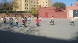 Timeline: Mi formación