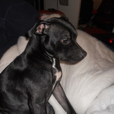 Timeline: The life of Nancy