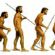Principals of existance evolution pic