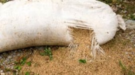 Timeline: Post Harvest Losses & Feeding the Cities