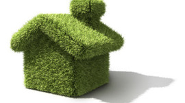 Timeline: Elementary School 2020