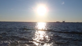 Timeline: The New Year