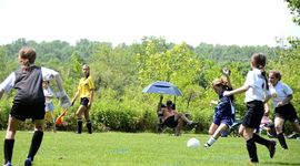 Timeline: Big Goal!!!!!!!!!