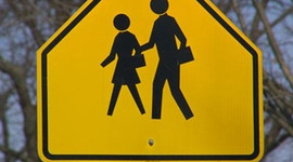 Timeline: My School 2020