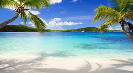 Timeline: Enjoy life