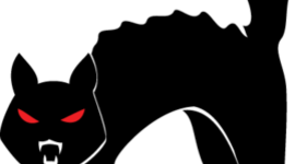 Timeline: The Black Cat