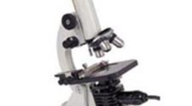Timeline: The Development of the Microscope and Cell Theory