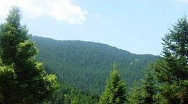 Timeline: fourna evrytanias