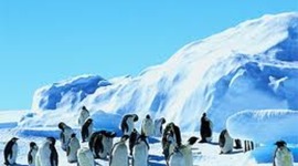 Timeline: Antarctic Exploration