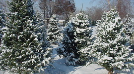 Timeline: Antarctica's exploration history