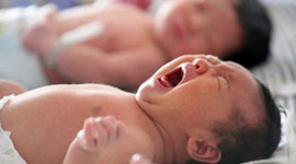 Timeline: Monthly Milestones