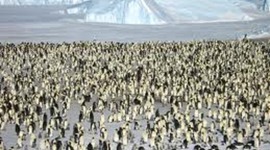 Timeline: Antarctic exploration