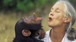 Timeline: Jane Goodall's TIMELINE