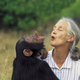 Jane and chimp