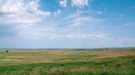 Timeline: July for Cassandra