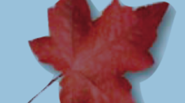 Timeline: Top Canadian Inventions