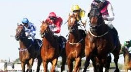 Timeline: melbourn cup hourse races