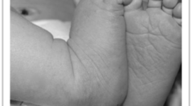 Timeline: Stages of Pregnancy