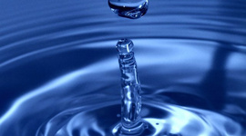 Timeline: mi primera línea