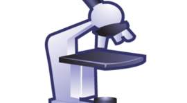 Timeline: How has it changed?