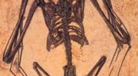 Timeline: The origins of life