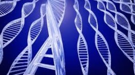 Timeline: Forensic Science